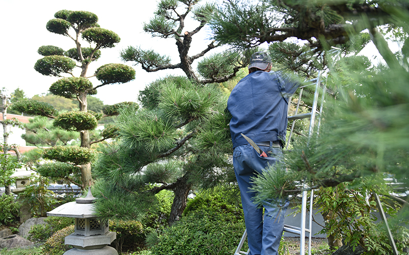 確かな技術力